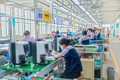 行业翘楚科技赋能，肇庆企业以技术服务‘卷’出新高度走出国门